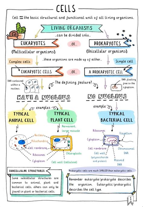 GCSE Biology .